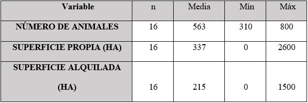 Caracterización de productores medianos de carne (entre 300 y 800 animales)