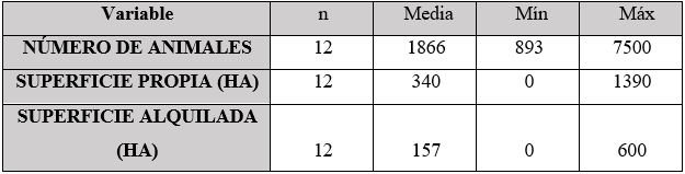 Caracterización de productores grandes de carne (más de 800 animales)