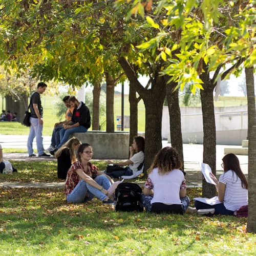 Jóvenes sentados al aire libre en la universidad
