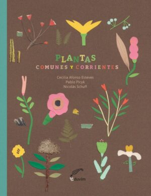 Plantas comunes y corrientes T/D